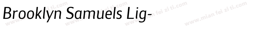 Brooklyn Samuels Lig字体转换